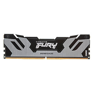 Kingston FURY Renegade Silver 16 Go DDR5 6400 MHz CL32
