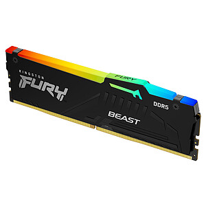 Kingston FURY Beast 16 Go DDR5 6000 MHz CL36
