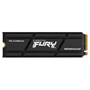 Kingston FURY Renegade 1 To avec dissipateur thermique
