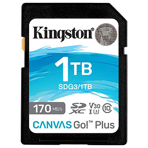 Kingston SD Plus Canvas Go! SDG3 1TB