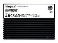 Kingston Kingston DC3000ME - SSD - Enterprise - 7.68 To - U.2 PCIe 5.0 x4 (NVMe)