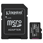 Kingston Canvas Select Plus SDCS3 256GB
