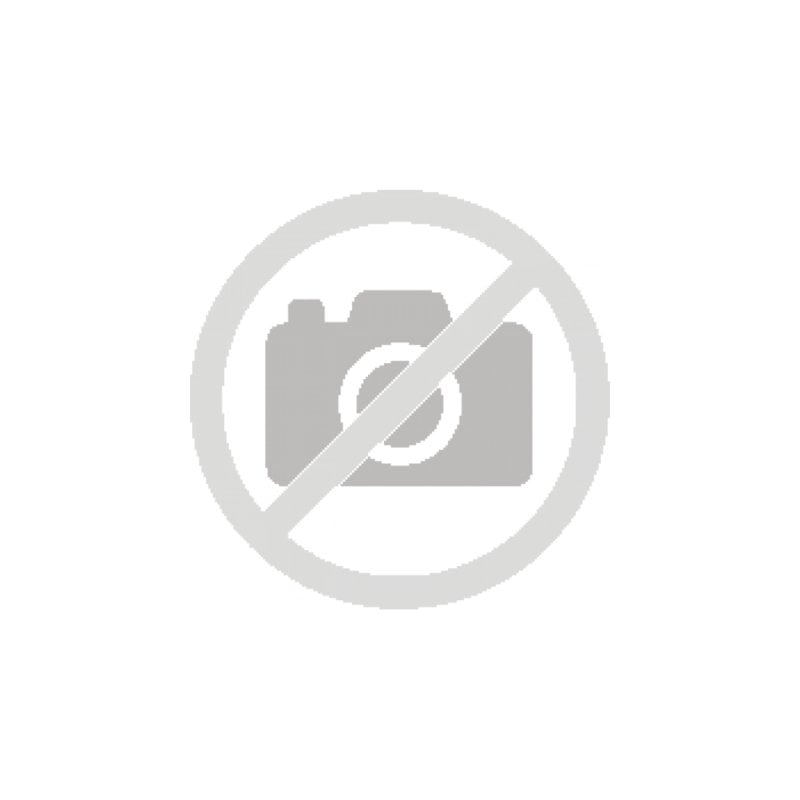 riello Sai RIELLO 3000VA Batterie Plomb Acide 4h LCD Protection Surcharge