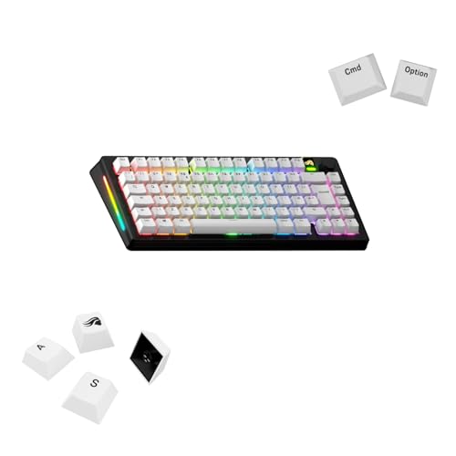 GLORIOUS Gaming - Touches GPBT Basics en PBT, 8 Coloris, Classic White, ineffaçables, pour claviers mécaniques Custom formats 100, 75, 65 et 60 - Disposition américaine QWERTY