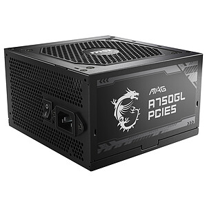 MSI Alimentation MSI MAG A750GL PCIE5 750W 80 PLUS Gold modulaire