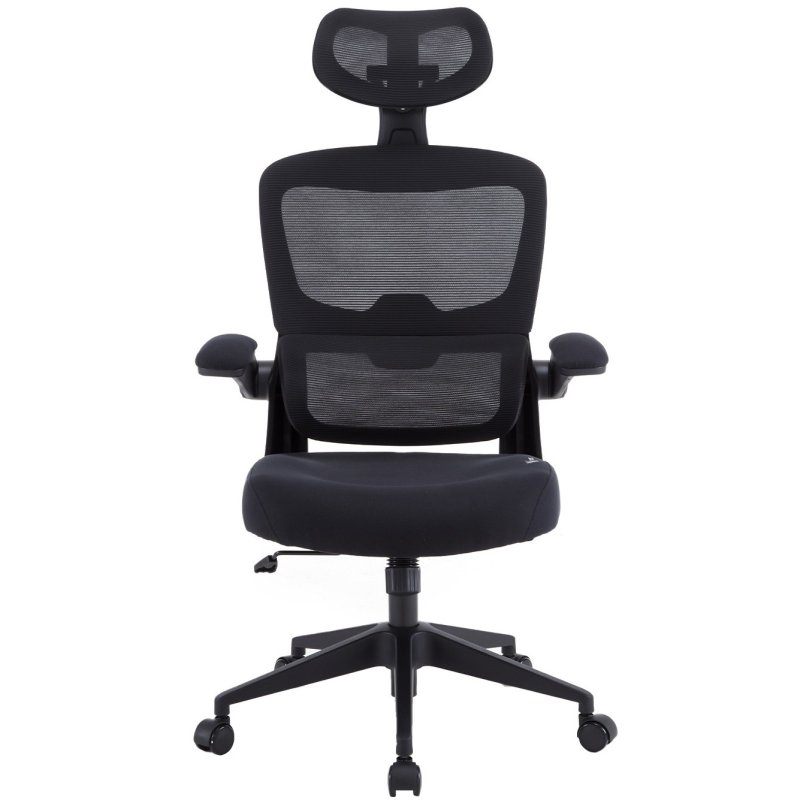 Woxter Woxter Ergo Chaise de bureau ergonomique Black