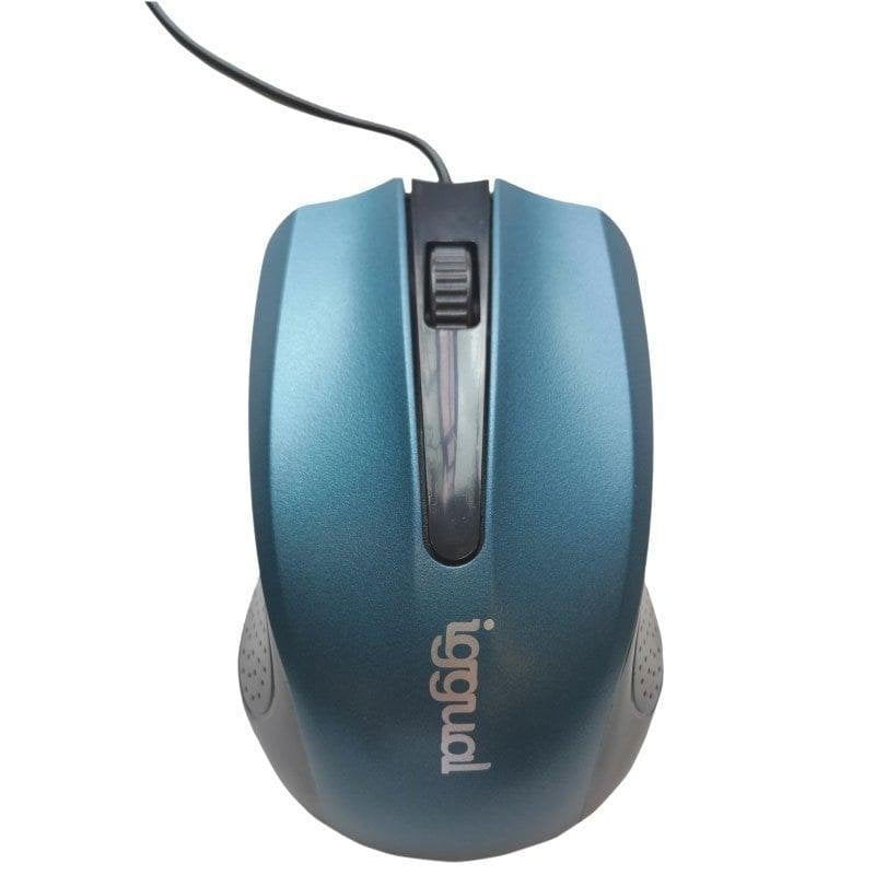 iggual Ratón iggual COM-ERGONOMIC-RL USB 800DPI Ambidextre Blue