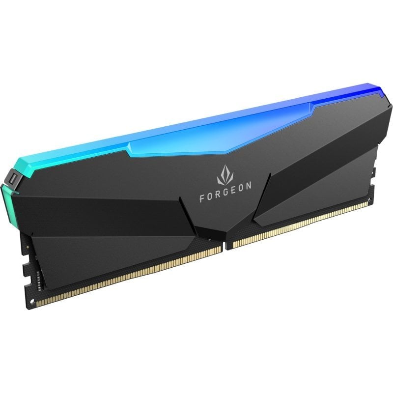 forgeon Mémoire RAM Forgeon Cyclone PRO RGB 32Go 2x16Go DDR5 6000MHz CL36 Intel XMP AMD EXPO Black