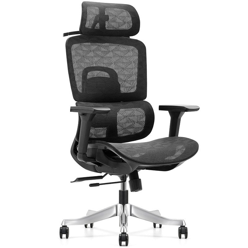 owlotech Owlotech Regal chaise de bureau ergonomique en maille Black