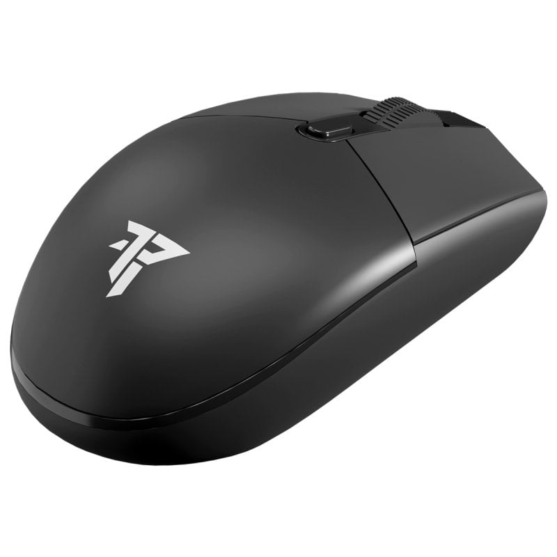 tempest X14 Warden Souris de jeu sans fil 12000 DPI Black
