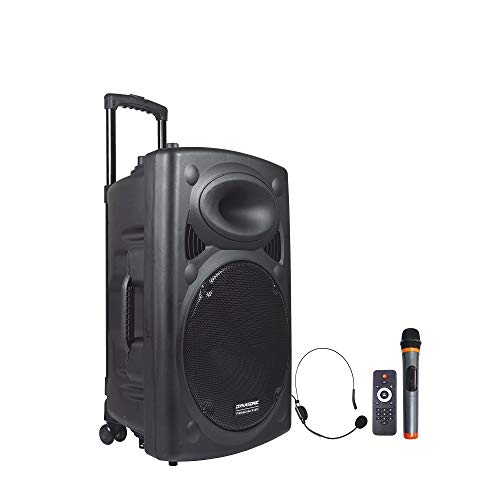 DYNASONIC Dynapro - Systeme Hautparleur - Sonorisation Portable 15'' Enceinte Professionel Puissant USB SD AUX MP3 Microphone Bluetooth Noir … (DYNAPRO 15)
