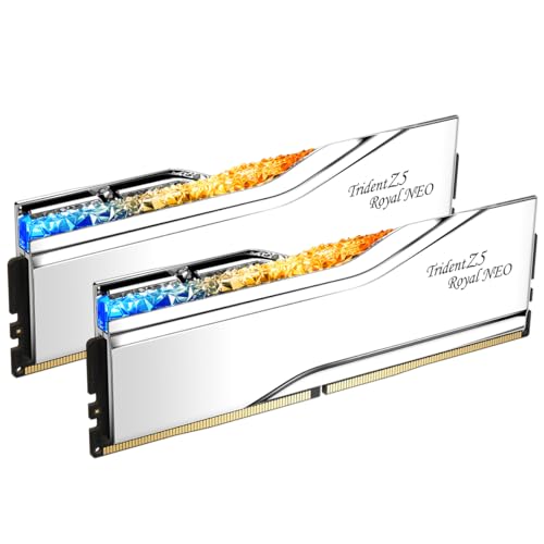 G.SKILL Trident Z5 Royal Neo Series (AMD Expo) DDR5 RAM 32 Go (2 x 16 Go) 6000 MT s CL28-36-36-96 1,40 V Mémoire UDIMM pour ordinateur de bureau – Argent (F5-6000J2836G16GX2-TR5NS)