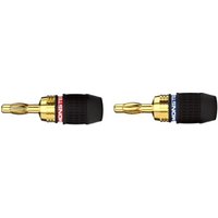 CABLE AUDIO QUICKLOCK FICHES BANANES 2X2