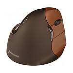 Evoluent VerticalMouse 4 Small Wireless
