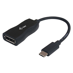 i tec Adaptateur USB C DisplayPort male femelle