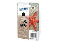 Epson Etoile de mer 603XL Black (blister)