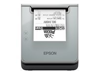 Epson Epson TM L100 (121) - imprimante de recus - Black et White - thermique en ligne