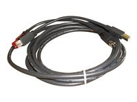 Epson - cable USB - USB PlusPower (24 V) pour USB type B - 3.65 m