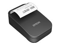 Epson Epson TM P20II (101) - imprimante de recus - Black et White - matricielle