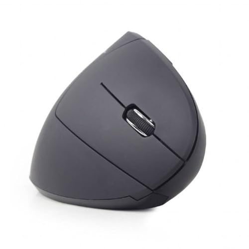 Gembird MUSW-ERGO-01 Souris Main Droite Design Vertical Optique RF sans Fil 1600 dpi Noir
