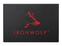 Seagate SSD IronWolf 125 1 To
