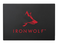 Seagate SSD IronWolf 125 1 To
