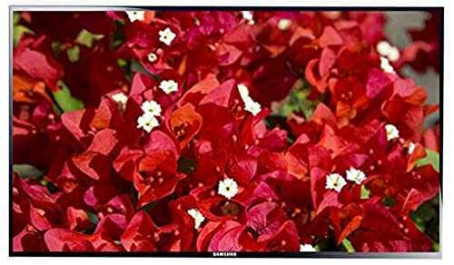 Samsung Ecran PC 40 LED HD 16 9 1920x1080 8ms