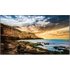 Samsung 82 LED QE82T
