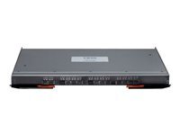 Lenovo Flex System EN4091 10Gb Ethernet Pass-thru Module - commutateur - 28 ports - Module enfichable