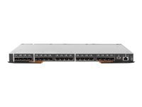 Lenovo Flex System FC5022 16Gb SAN Scalable Switch - commutateur - 48 ports - Gere - Module enfichable