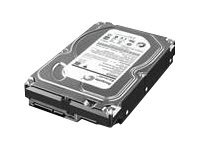 Lenovo Lenovo - disque dur - 3 To - SATA 6Gb s