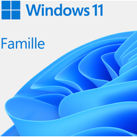 Microsoft Windows 11 Home 64 bits oem DVD