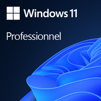 Microsoft Windows 11 Professionnel OEM DVD