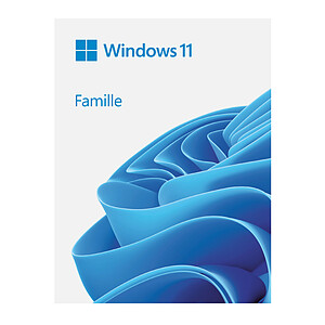 Microsoft Windows 11 Home 64 bits cle USB